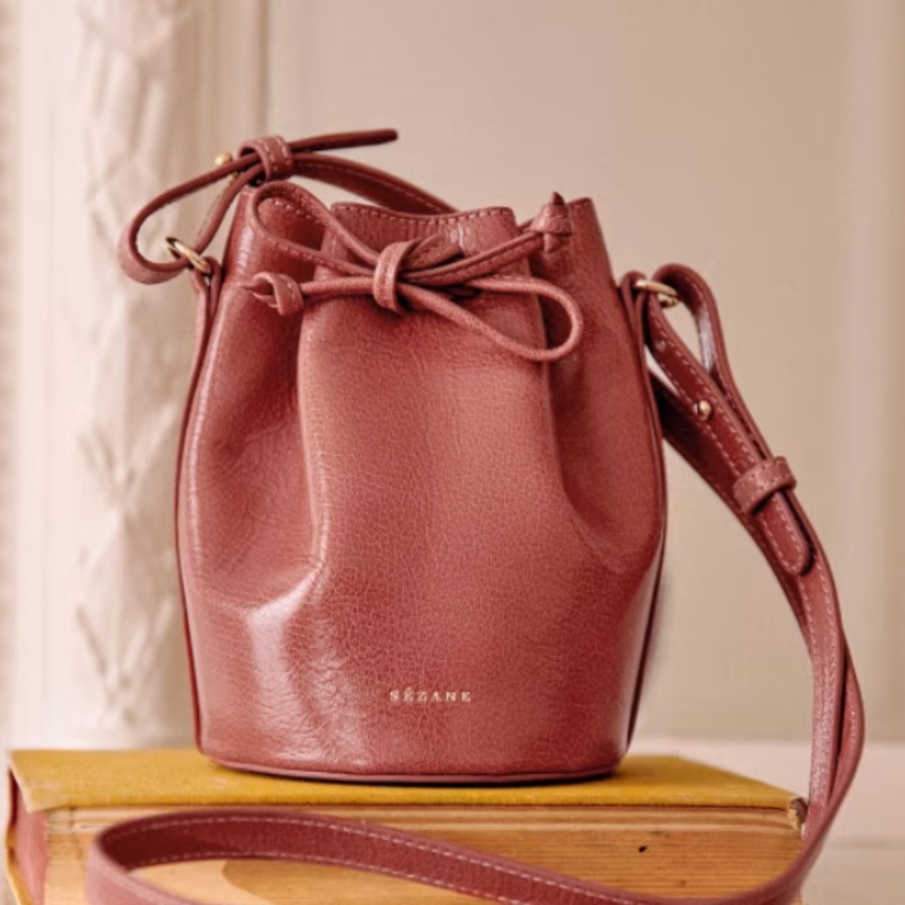 ISO Sezane Micro Farrow Bag in Vintage Blush